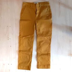 Everlane straight leg crop pants